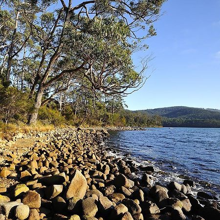 Nrma Port Arthur Holiday Park المظهر الخارجي الصورة