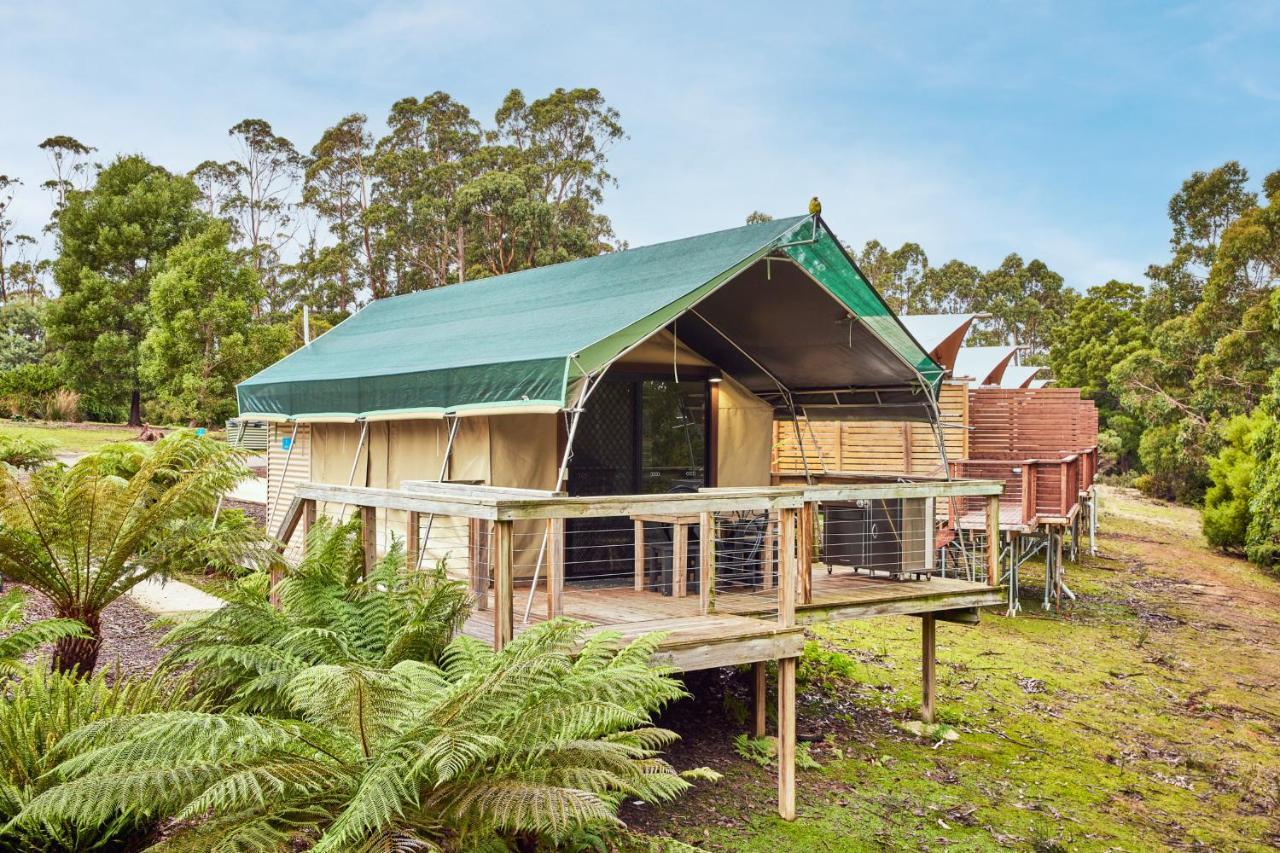 Nrma Port Arthur Holiday Park المظهر الخارجي الصورة