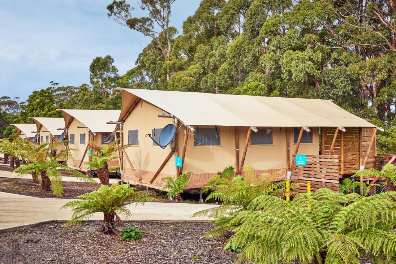 Nrma Port Arthur Holiday Park المظهر الخارجي الصورة