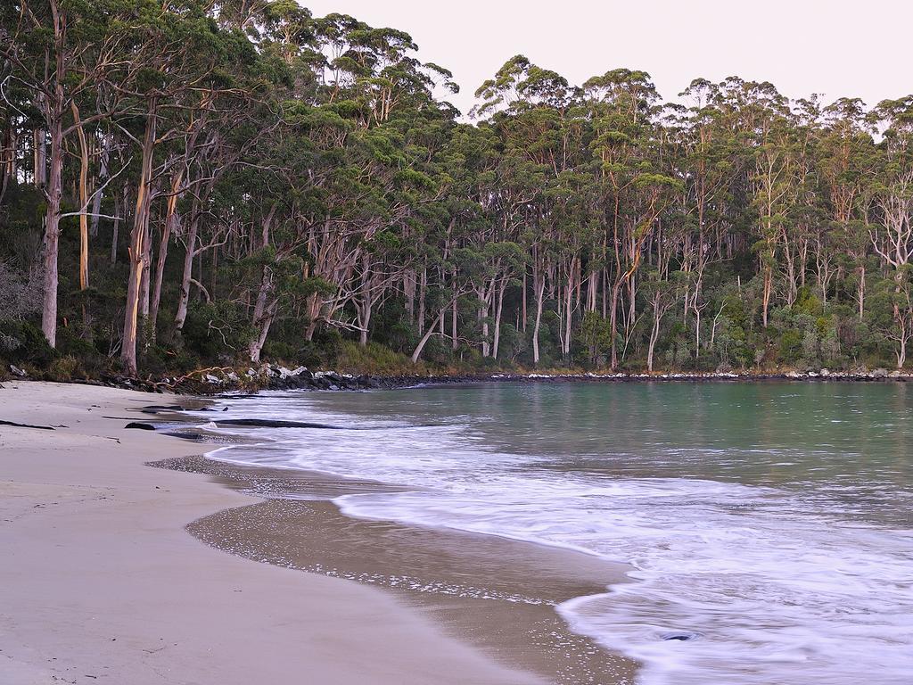 Nrma Port Arthur Holiday Park المظهر الخارجي الصورة