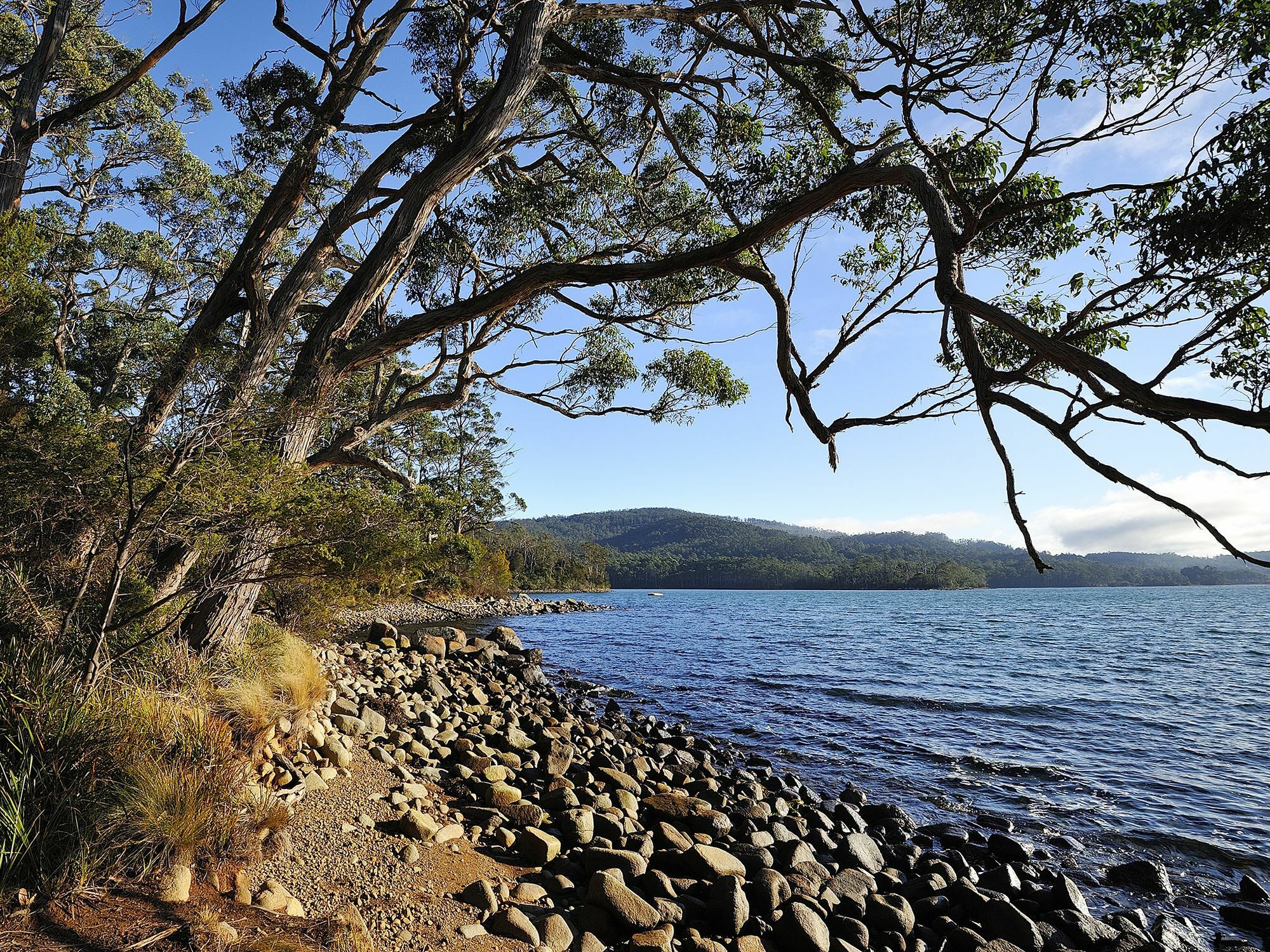 Nrma Port Arthur Holiday Park المظهر الخارجي الصورة